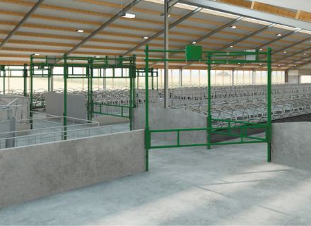 autolift gates for easy cow traffic