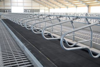 Spinder matting 
