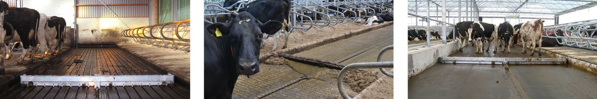 Spinder manure scrapers for slatted of solid floors