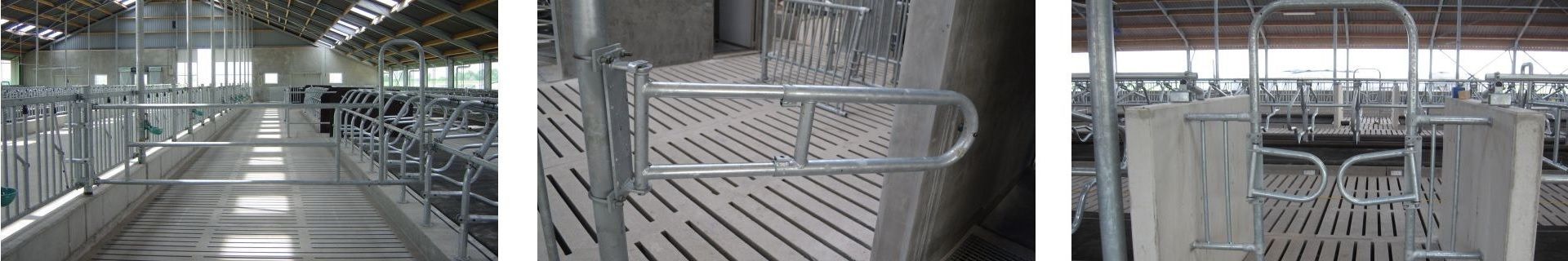 Spinder partition barriers Texas gate