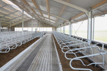 Freestall divider