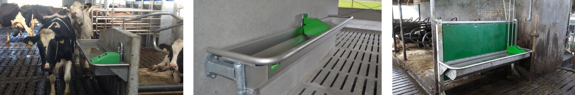 Spinder stainless steel Pingo drinking troughs