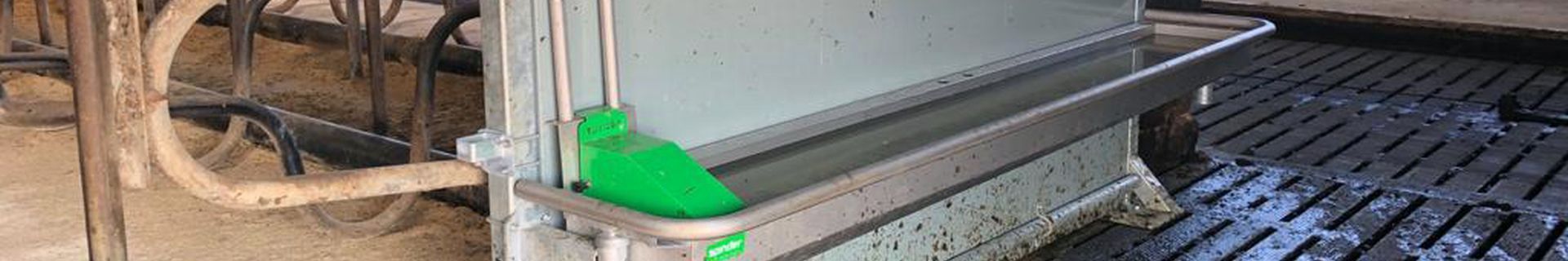 Spinder Pingo renovation drinking trough