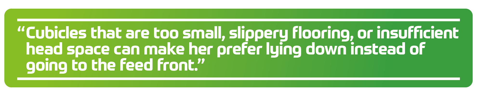 Quote Kees when cows prefer to lie down