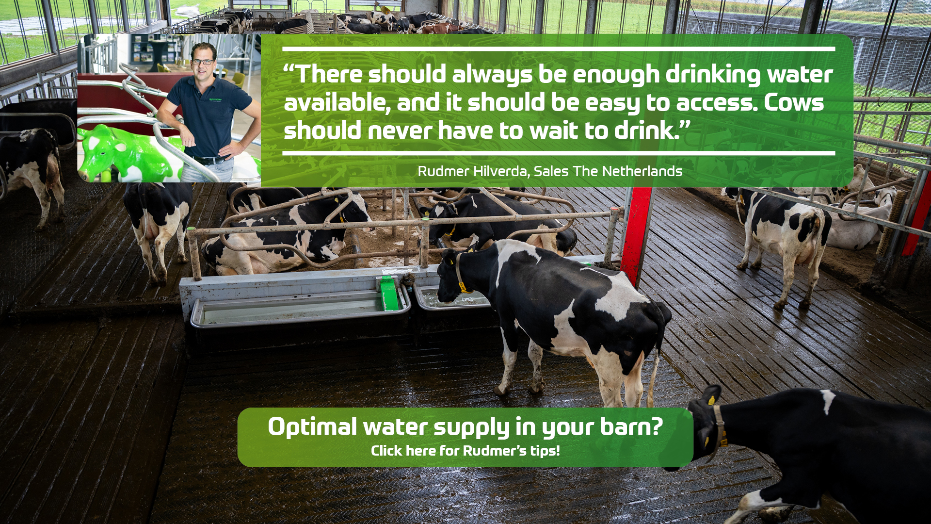 spinder/knowledge-box/rudmer-on-drinking-behaviour-in-dairy-cattle