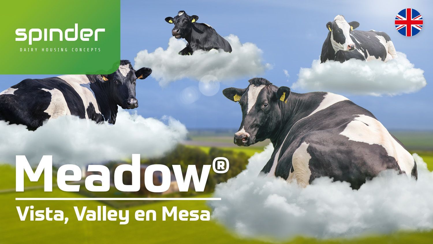 Meadow Vista, Meadow Valley & Meadow Mesa video