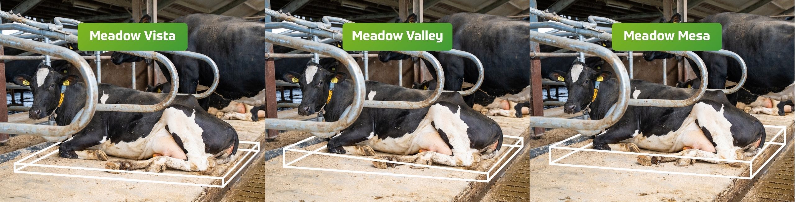 Latex cow mattress