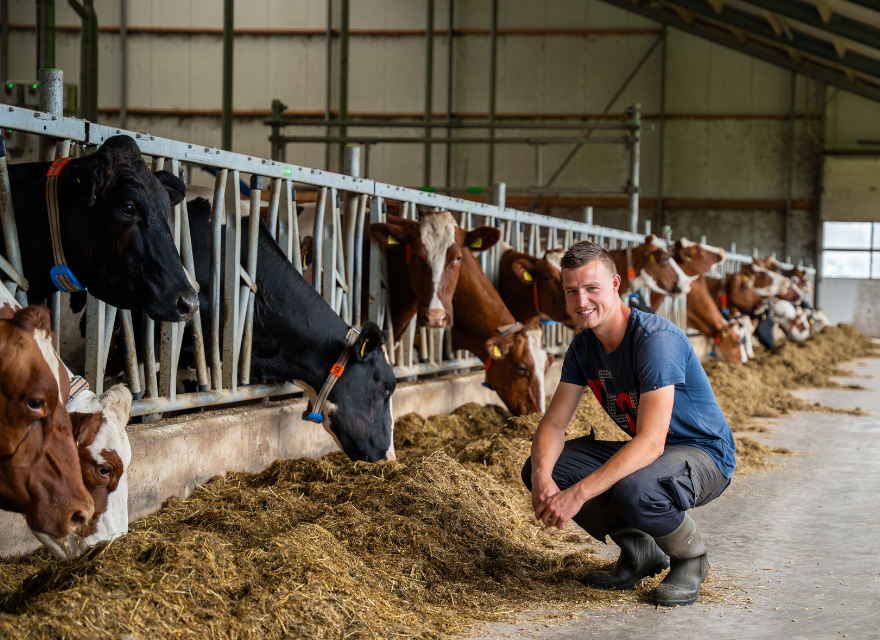 Dairy farm Jansen Holleboom