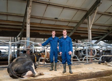 Dairy farm Hoanster Vernooij-Bijstra, Hoornsterzwaag