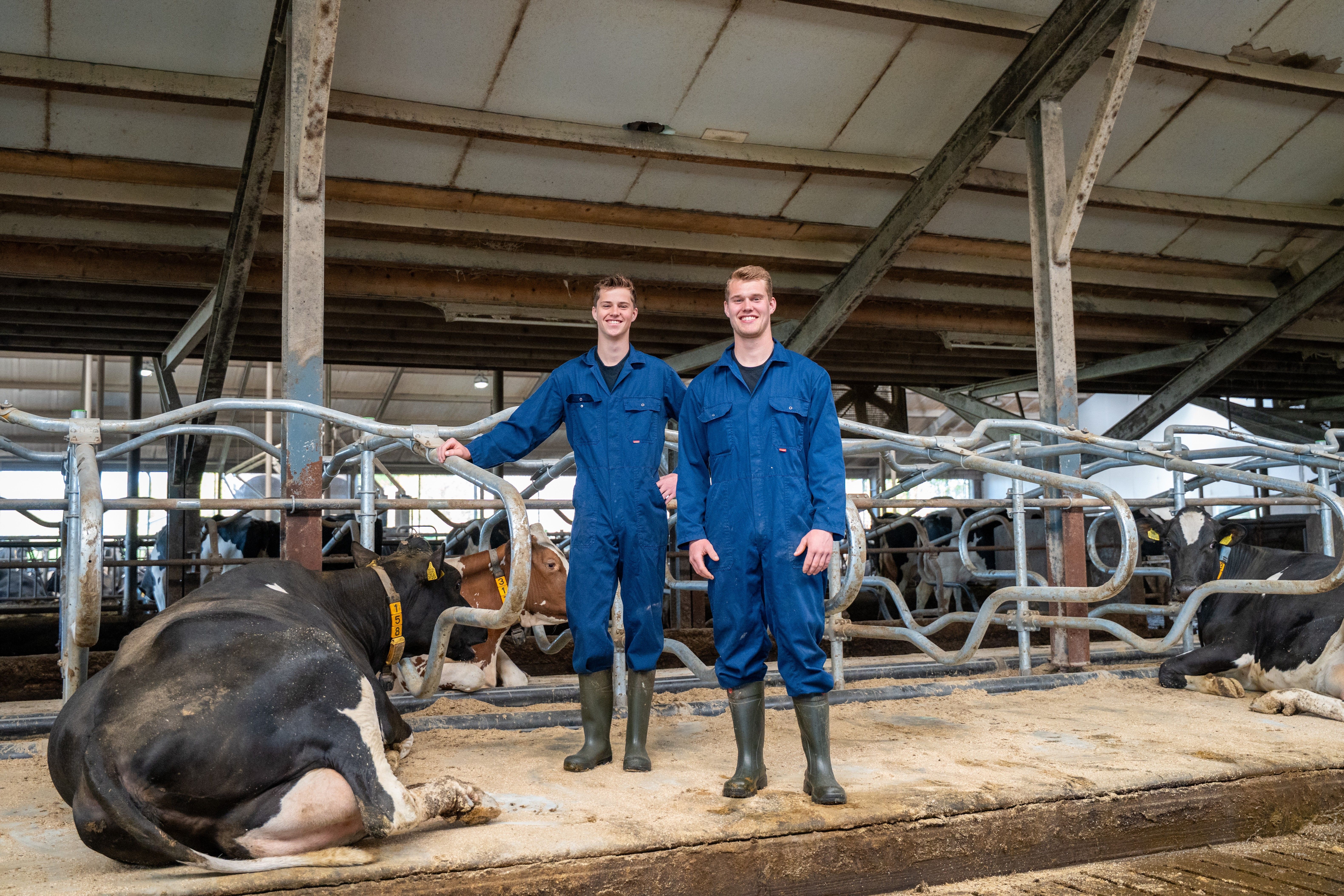 Dairy farm Hoanster Vernooij-Bijstra, Hoornsterzwaag