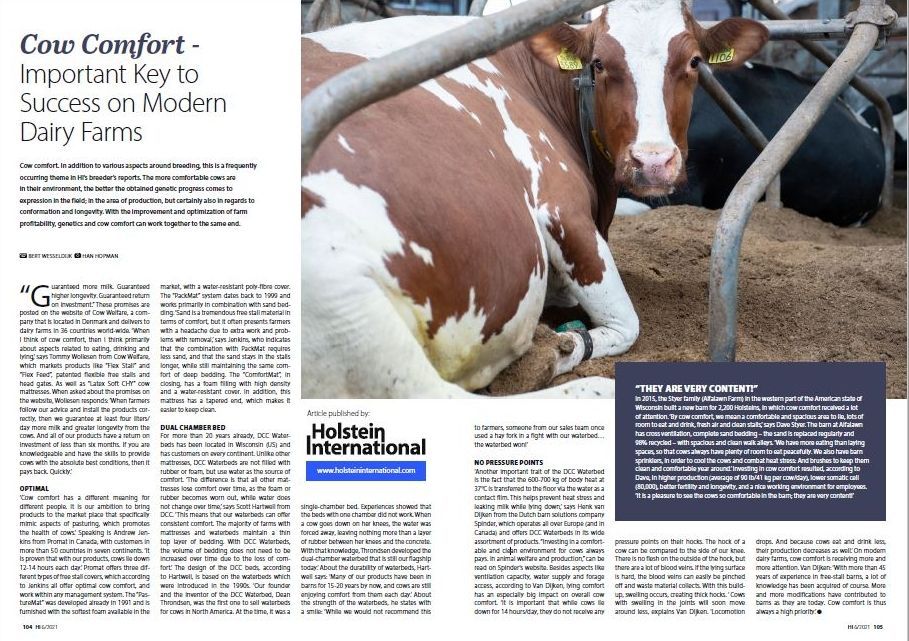 Holstein artikel